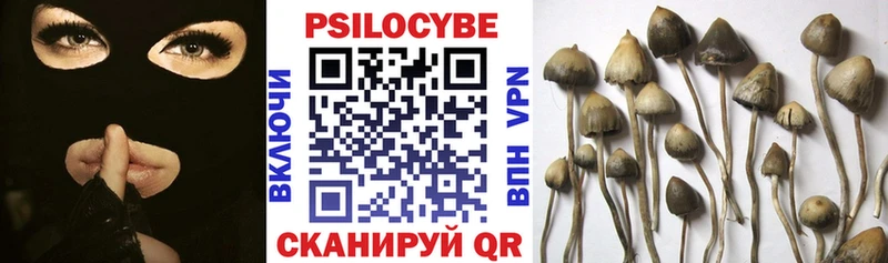 Псилоцибиновые грибы MAGIC MUSHROOMS  Купить где  Каргат 
